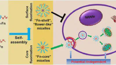 Potential-Independent Intracellular Drug Delivery and Mitochondrial Targeting featured image